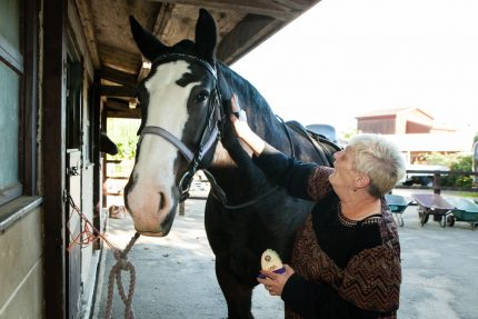 Woman caring and grooming horse South West Yorkshire Partnership NHS Foundation Trust