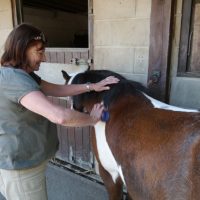 Read more: People in Wakefield saddle up to boost mental wellbeing.