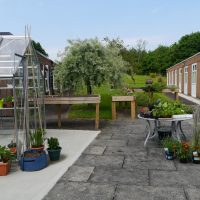 Read more: Spending time in the garden to boost wellbeing