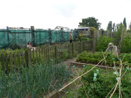 The allotment in July 2013