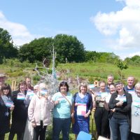 Read more: Trust shows it cares for carers with garden event
