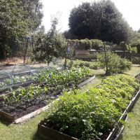 Read more: Kirklees Insight team let nature take its course