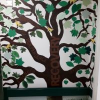 Read more: Centre of excellence aspirations for Willow Ward