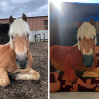 Read more: Service users remember Zach the horse with artwork tribute