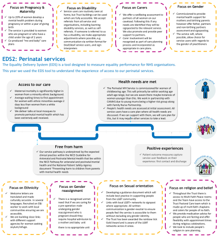 An infographic about perinatal equality and delivery system