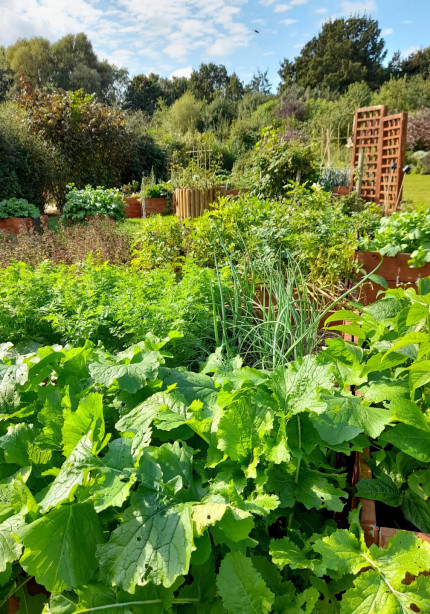 Caring garden at Fieldhead Hospital in Wakefield.