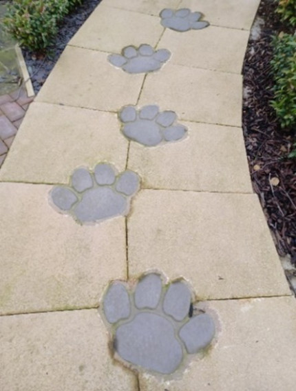 Photo of paw print paving