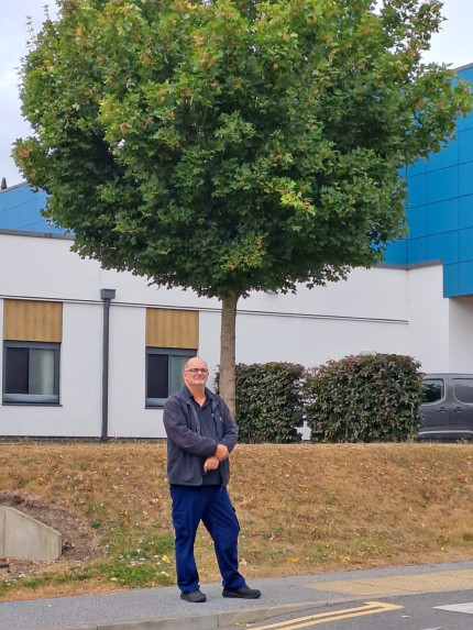 Colleague standing near a tree