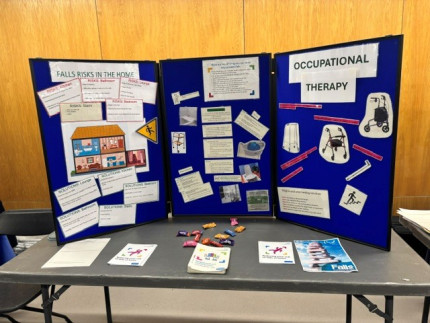 Falls awareness day event